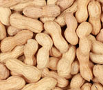 ground nut seeds vijapur, ground nut seed manufacturer vijapur, ground nut seeds gujarat, ground nut seed manufacturer gujarat, ground nut seeds india, ground nut seed manufacturer india