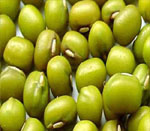 mung seeds vijapur, mung seed manufacturer vijapur, mung seeds gujarat, mung seed manufacturer gujarat, mung seeds india, mung seed manufacturer india