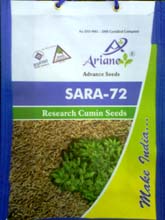 Field Crop Seeds in Mehsana, Coriander Seeds in Mehsana, Groundnut Seeds in Mehsana, Black Gram Seeds in Mehsana, Fennel Seeds in Mehsana, Saunf Seed in Mehsana, Wheat Seeds in Mehsana, Quality Coriander Seeds in Mehsana, Sesame Seeds in Mehsana, Millet Seed in Mehsana, Field Crop Seeds Exporter in Mehsana, Field Crop Manufacturer in Mehsana, Field Crop Distributor in Mehsana, Field Crop Supplier in Mehsana