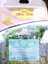 Field Crop Seeds, Coriander Seeds, Groundnut Seeds, Black Gram Seeds, Fennel Seeds, Saunf Seed, Wheat Seeds, Quality Coriander Seeds, Sesame Seeds, Millet Seed, Field Crop Seeds Exporter, Field Crop Manufacturer, Field Crop Distributor, Field Crop Supplier