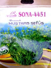 Field Crop Seeds, Coriander Seeds, Groundnut Seeds, Black Gram Seeds, Fennel Seeds, Saunf Seed, Wheat Seeds, Quality Coriander Seeds, Sesame Seeds, Millet Seed, Field Crop Seeds Exporter, Field Crop Manufacturer, Field Crop Distributor, Field Crop Supplier