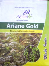 Field Crop Seeds in Gujarat, Coriander Seeds in Gujarat, Groundnut Seeds in Gujarat, Black Gram Seeds in Gujarat, Fennel Seeds in Gujarat, Saunf Seed in Gujarat, Wheat Seeds in Gujarat, Quality Coriander Seeds in Gujarat, Sesame Seeds in Gujarat, Millet Seed in Gujarat, Field Crop Seeds Exporter in Gujarat, Field Crop Manufacturer in Gujarat, Field Crop Distributor in Gujarat, Field Crop Supplier in Gujarat, Field Crop Seeds in Mehsana, Coriander Seeds in Mehsana, Groundnut Seeds in Mehsana, Black Gram Seeds in Mehsana, Fennel Seeds in Mehsana, Saunf Seed in Mehsana, Wheat Seeds in Mehsana, Quality Coriander Seeds in Mehsana, Sesame Seeds in Mehsana, Millet Seed in Mehsana, Field Crop Seeds Exporter in Mehsana, Field Crop Manufacturer in Mehsana, Field Crop Distributor in Mehsana, Field Crop Supplier in Mehsana