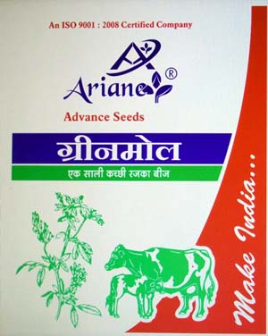 Field Crop Seeds, Coriander Seeds, Groundnut Seeds, Black Gram Seeds, Fennel Seeds, Saunf Seed, Wheat Seeds, Quality Coriander Seeds, Sesame Seeds, Millet Seed, Field Crop Seeds Exporter, Field Crop Manufacturer, Field Crop Distributor, Field Crop Supplier