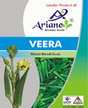 Hybrid Seeds in India, Vegetable Seeds in India, Hybrid Vegetable Seeds in India, Natural Vegetable Seeds in India, Organic Vegetable Seeds in India, Cauliflower Seeds in India, Vegetable Hybrid Seeds in India, Hybrid Bhindi Seeds in India, Beans Ponds Seeds in India, Bhindi Seeds in India, Bitter Gourd Seeds in India, Bottle Gourd Seeds in India, Brinjal Seeds in India, Cabbage Seeds in India, Carrot Seeds in India, Chillies Seeds in India, Coriander Seeds in India, Cowpeas Seeds in India, Cucumber Seeds in India, Galka Seeds in India, Guar Seeds in India, Onion Seeds in India, Peas Seeds in India, Raddish Seeds in India, Ridge Gourd Seeds in India, Tomato Seeds in India, Hybrid Seeds Exporter in India, Hybrid Seeds Manufacturer in India, Hybrid Seeds Distributor in India, Hybrid Seeds Supplier in India, Vegetable Seeds Exporter in India, Vegetable Seeds Manufacturer in India, Vegetable Seeds Distributor in India, Vegetable Seeds Supplier in India, Hybrid Seeds in Mehsana, Vegetable Seeds in Mehsana, Hybrid Vegetable Seeds in Mehsana, Natural Vegetable Seeds in Mehsana, Organic Vegetable Seeds in Mehsana, Cauliflower Seeds in Mehsana, Vegetable Hybrid Seeds in Mehsana, Hybrid Bhindi Seeds in Mehsana, Beans Ponds Seeds in Mehsana, Bhindi Seeds in Mehsana, Bitter Gourd Seeds in Mehsana, Bottle Gourd Seeds in Mehsana, Brinjal Seeds in Mehsana, Cabbage Seeds in Mehsana, Carrot Seeds in Mehsana, Chillies Seeds in Mehsana, Coriander Seeds in Mehsana, Cowpeas Seeds in Mehsana, Cucumber Seeds in Mehsana, Galka Seeds in Mehsana, Guar Seeds in Mehsana, Onion Seeds in Mehsana, Peas Seeds in Mehsana, Raddish Seeds in Mehsana, Ridge Gourd Seeds in Mehsana, Tomato Seeds in Mehsana, Hybrid Seeds Exporter in Mehsana, Hybrid Seeds Manufacturer in Mehsana, Hybrid Seeds Distributor in Mehsana, Hybrid Seeds Supplier in Mehsana, Vegetable Seeds Exporter in Mehsana, Vegetable Seeds Manufacturer in Mehsana, Vegetable Seeds Distributor in Mehsana, Vegetable Seeds Supplier in Mehsana